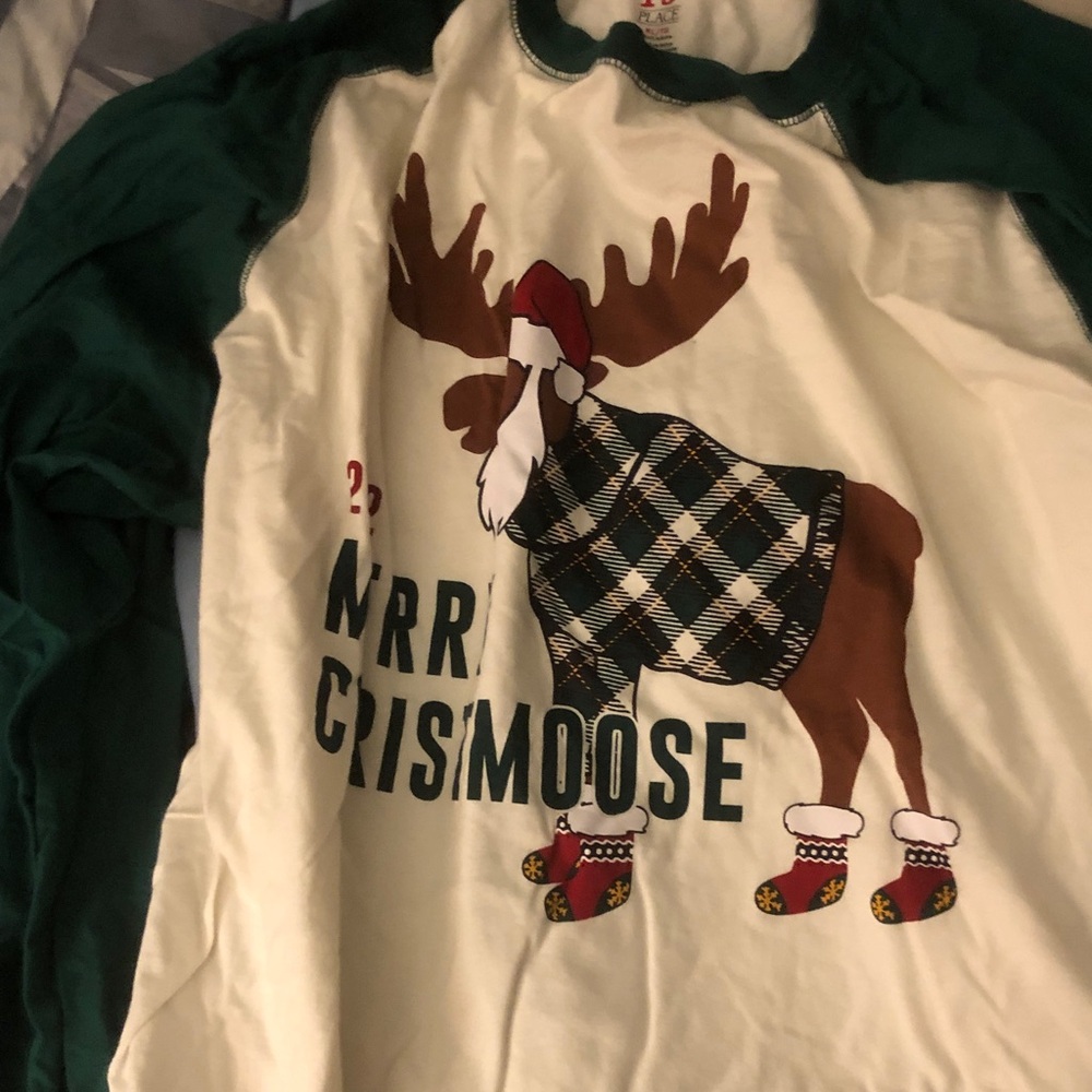 Christmas Moose Raglan Holiday Tee - Green & Cream